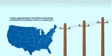 wood poles