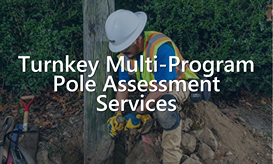 Turnkey pole assessment