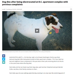 Dog Electrocuted at DC Apartment Complex