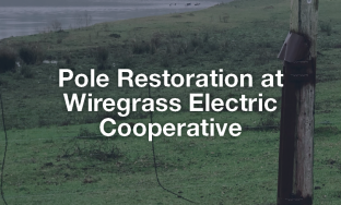 Pole Restoration at Wiregrass Electric Cooperative