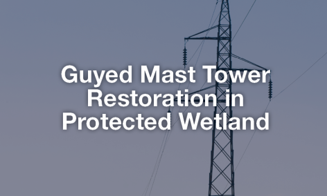 Guyed Mast Tower Restoration in Protected Wetland