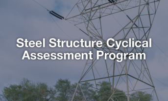 Steel Structure Cyclical Assessment Program