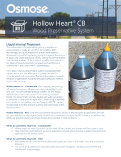 Hollow Heart  CB