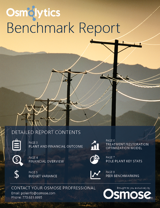 Osmose Benchmark Report - 2019 - website