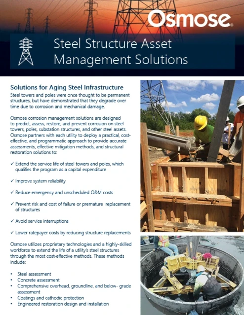 Steel Structure Asset Management Solutions