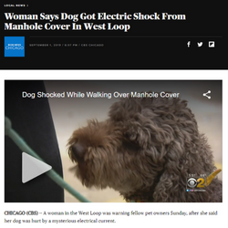 Stray Voltage from Manhole Cover Shocks Dog