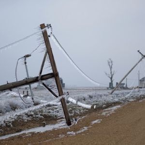 iStock_000008426478+600x390 iStock_000008426478+600x390