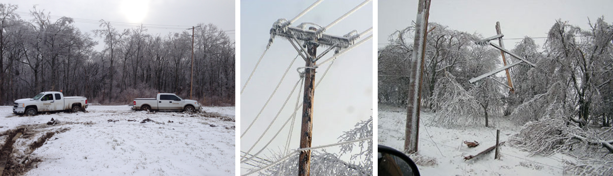 ice-storm-collage (1)