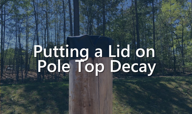 pole topper image pole topper image